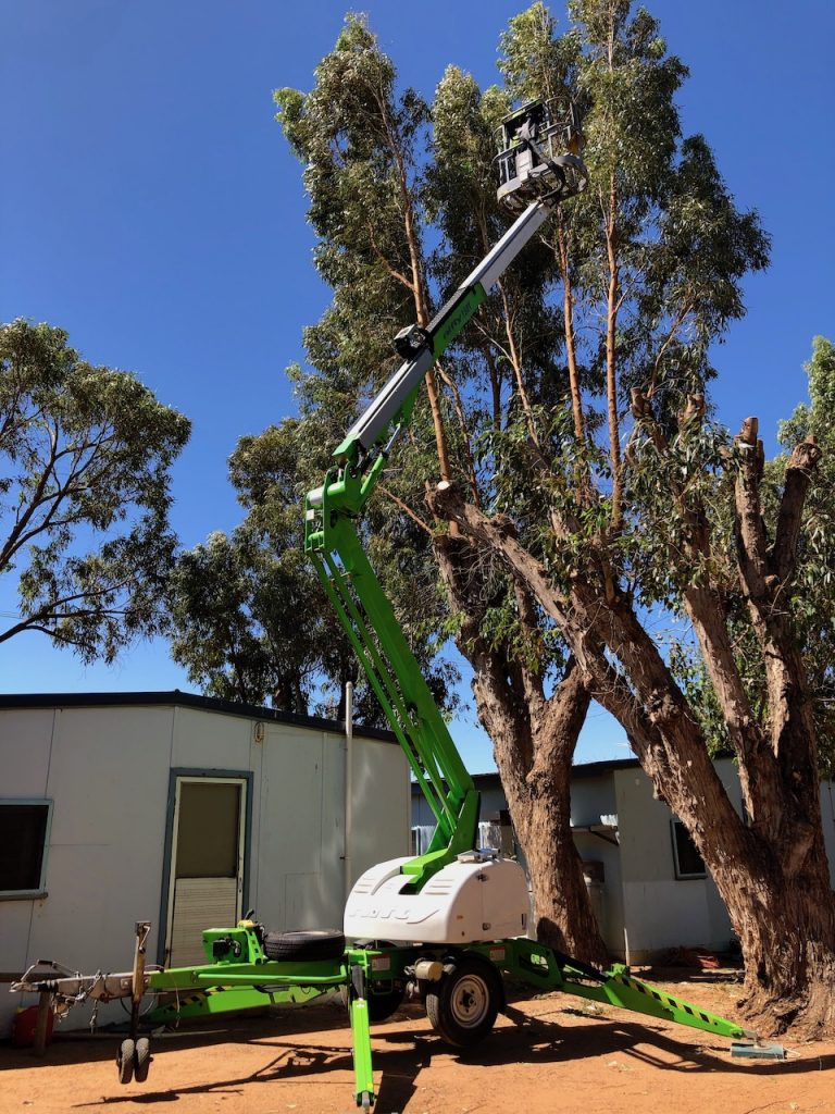 Tree Removal Sunshine Coast